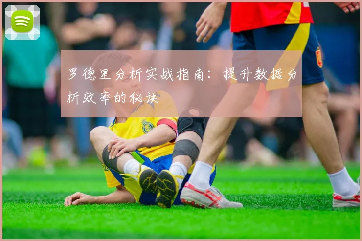 罗德里分析实战指南：提升数据分析效率的秘诀