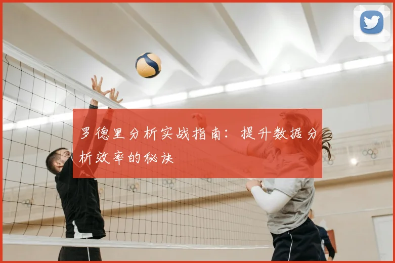 罗德里分析实战指南：提升数据分析效率的秘诀
